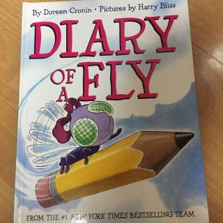 Diary of a fly 2017.01.01