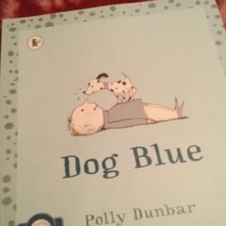 dog blue