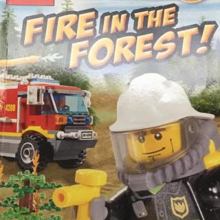 乐高系列之森林火灾