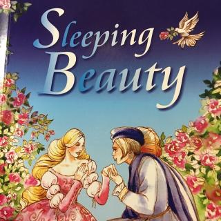 Sleeping Beauty(1-3)