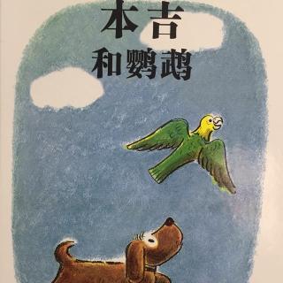 故事359：本吉和鹦鹉