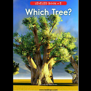 杨杨读Razkids Level E：Which Tree?
