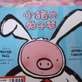 小猪🐷的兔子🐰梦