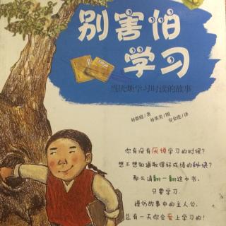 《双胞胎兄弟》