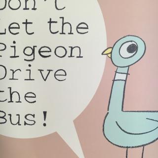 Don't let the pigeon drive the bus