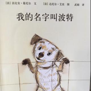 139.我的名字叫波特