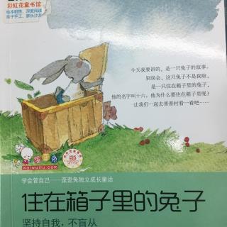 《住在箱子里的兔子》