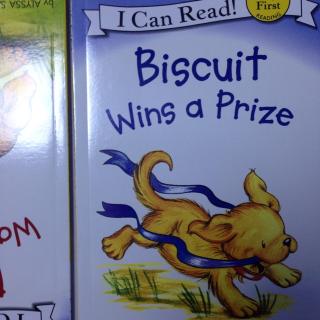 Biscuit wins a prize