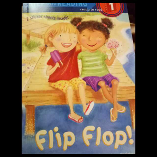 Flip Flop讲解版