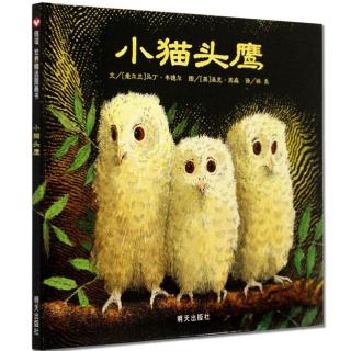 47.粤语--《小猫头鹰》:缓解孩子分离焦虑