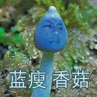 Skinny blue mushroom蓝瘦香菇