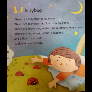 L l  ladybug