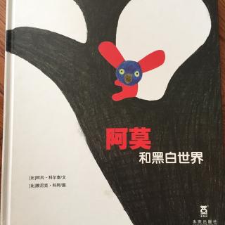 阿莫和黑白世界