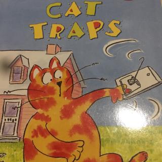 Step 1 Cat traps