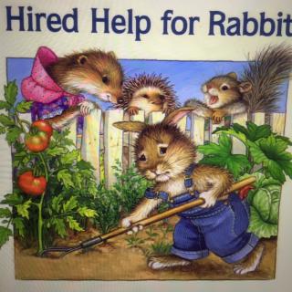 Day312-Hired help for Rabbit