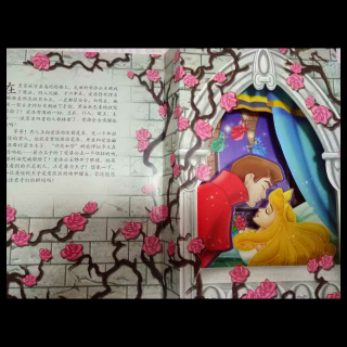 迪士尼公主之梦幻时分5——睡美人爱洛公主