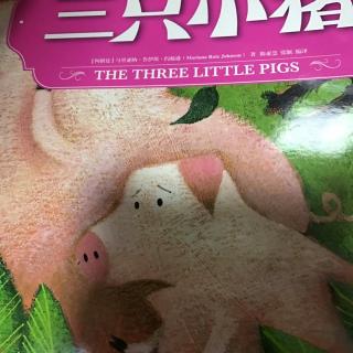 世界著名童话1⃣️：三只小猪