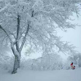 第一场初雪