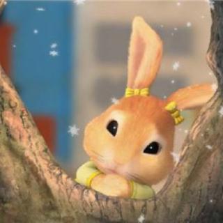 【知识童话】小兔子的玻璃窗