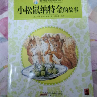 彼得兔和他的伙伴们~小松鼠纳特金的故事