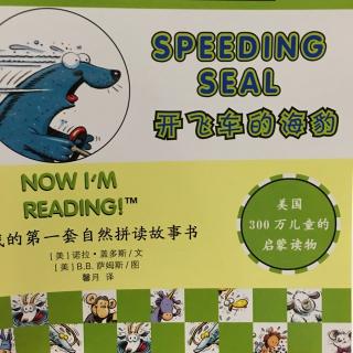 Speeding seal