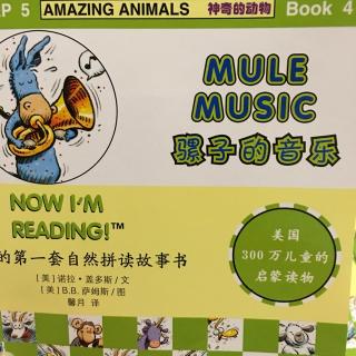 Mule music