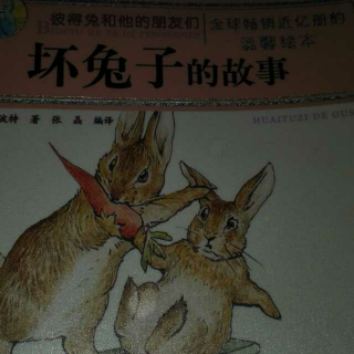 彼得兔和他的朋友们之《坏兔子的故事》
