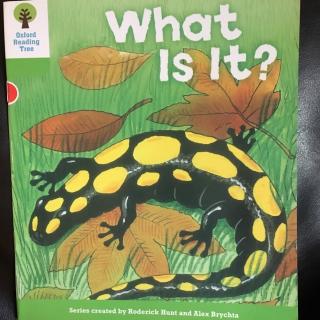 What is it?-by Moli