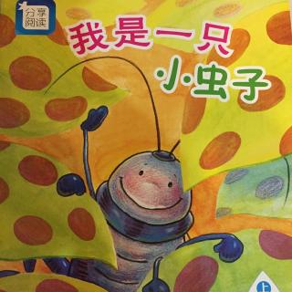 我是一只小虫子
