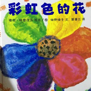 🌈彩虹的花