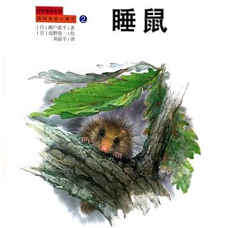 20170106雅雅的科学书-森林里的小精灵 睡鼠