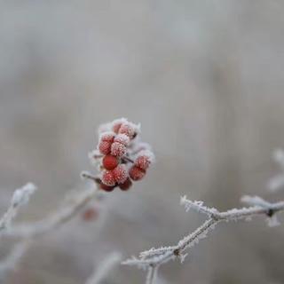 散文-银铃铛之乡村笔记