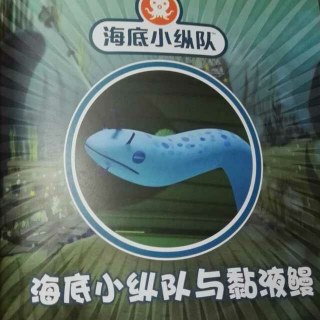 海底小纵队与黏液鳗