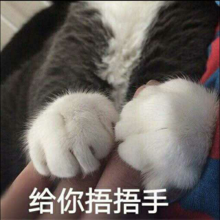 失踪人口表情包_失踪人口(3)