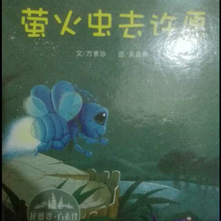 萤火虫去许愿