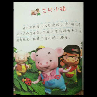 三只小猪🐷🐷🐷