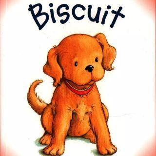 Biscuit