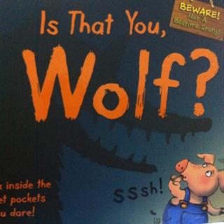 Is that you wolf？有趣的立体触摸书