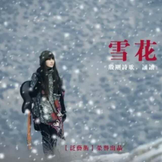 殷刚：雪花