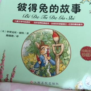 彼得兔的故事