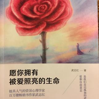 《愿你拥有被爱照亮的生命》定律六（下）