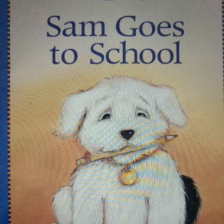 Sam Goes to School