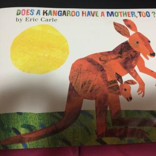 does a kangaroo has a mother too? 球妈