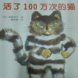 活了100万次的猫