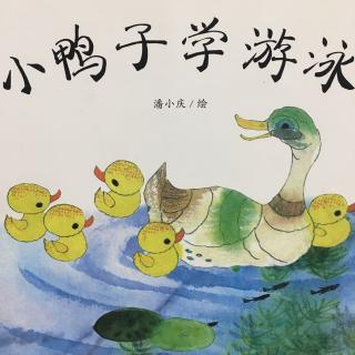 小鸭子学游泳~潘小庆