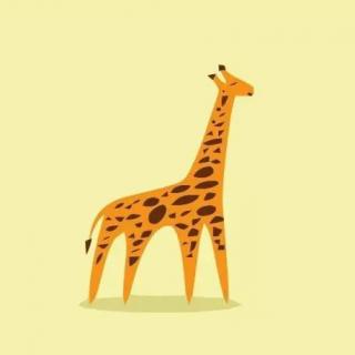 英语故事：Baby Giraffe