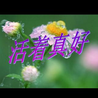 活着真好 🎵：海滨音诗