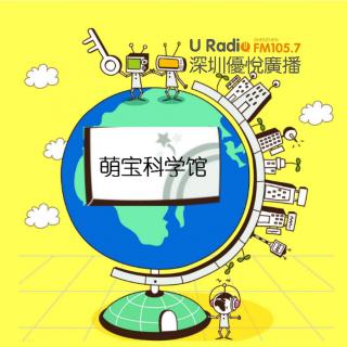 《空杯子能够放大声音么？》