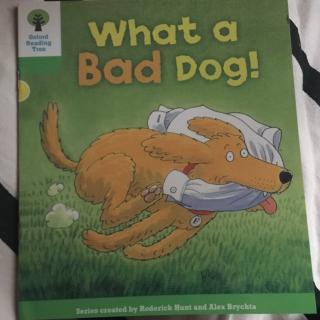 What a bad dog!-by Moli
