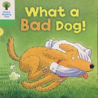 What a bad dog!-By Moli